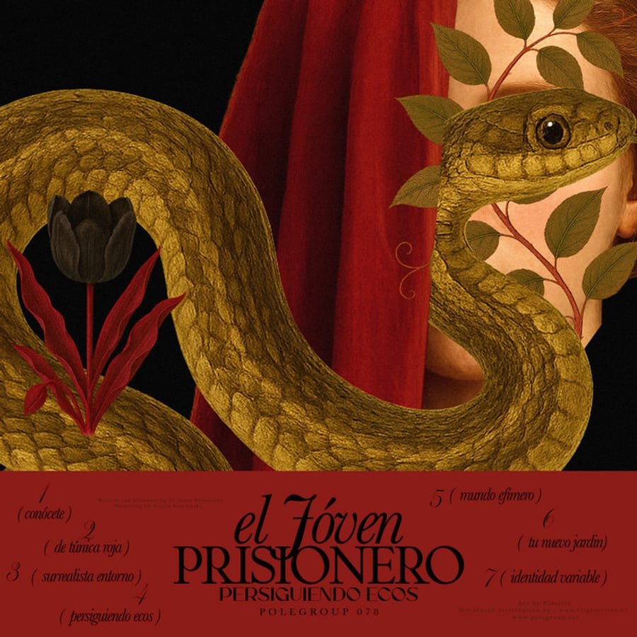 Persiguiendo Ecos release artwork